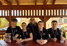 49. Regionalna Domijada